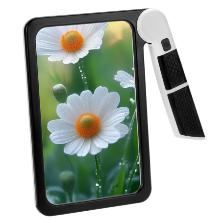 Loupe de Lecture Pliable 5X avec Lumière LED - QWORK