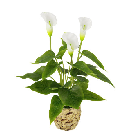 Plante Artificielle Calla dans Panier Tressé - Fleurs Blanches Réalistes