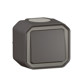 Interrupteur Mural Étanche Legrand Plexo 10A - Commande d'Éclairage Prête à Installer - Anthracite