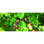 Le Petit Prince - Film d'Animation en DVD