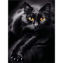 Set de Diamond Painting Chat Noir avec Accessoires - Pracht Creatives Hobby