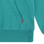 Sweat à Capuche Levi's Garçon Porcelain Green 2-8 Ans