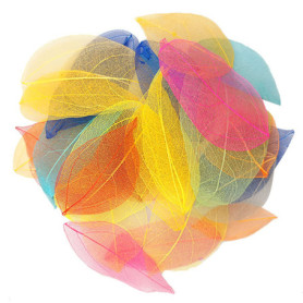 Marque-pages en Feuilles Sèches Naturelles - 12 Couleurs, 36 Pièces