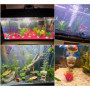 Huike Baby Groot - Lot de 4 Pierres à Bulles Décoratives pour Aquarium