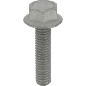 Vis à Métaux Tête Hexagonale Restagraf - M6-1.00 x 25 mm - Sachet de 10