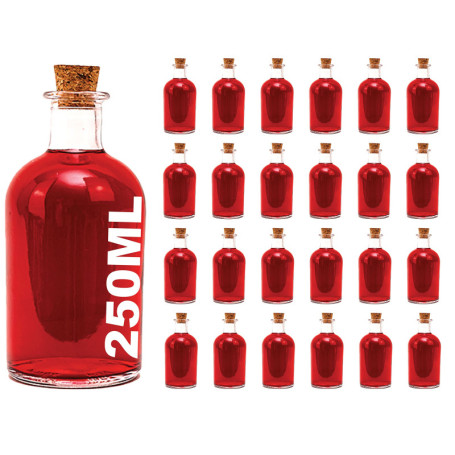 Lot de 24 Bouteilles en Verre de 250 ml avec Bouchons en Liège - SLKFactory