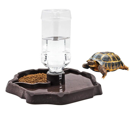 Bol à Eau et Nourriture 2 en 1 pour Reptiles - JOYOLA