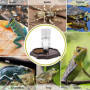 Bol à Eau et Nourriture 2 en 1 pour Reptiles - JOYOLA