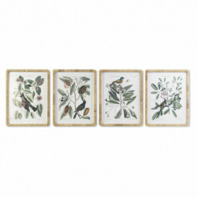 Cadre DKD Home Decor Plantes botaniques (50 x 2,5 x 65 cm) (4 Unités) 269,99 €