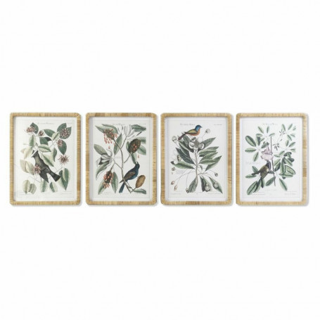 Cadre DKD Home Decor Plantes botaniques (50 x 2,5 x 65 cm) (4 Unités) 269,99 €