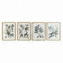 Cadre DKD Home Decor Plantes botaniques (50 x 2,5 x 65 cm) (4 Unités) 269,99 €