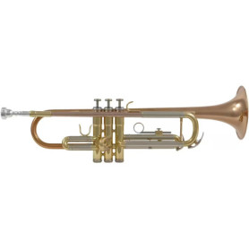 Trompette Si♭ Vernie Woodbrass WTP400 - Prête à Jouer avec Étui et Embouchure