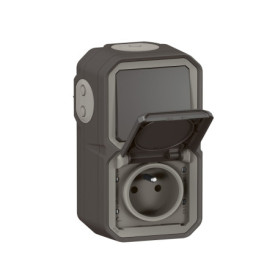 Prise Étanche et Interrupteur Va-et-Vient IP55 Anthracite - Legrand Plexo
