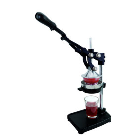 Presse-Grenades et Agrumes Professionnel en Fonte et Acier Inoxydable - Ilsa