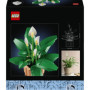 LEGO Botanicals - Fleurs de Lune en Pot pour Décoration Intérieure