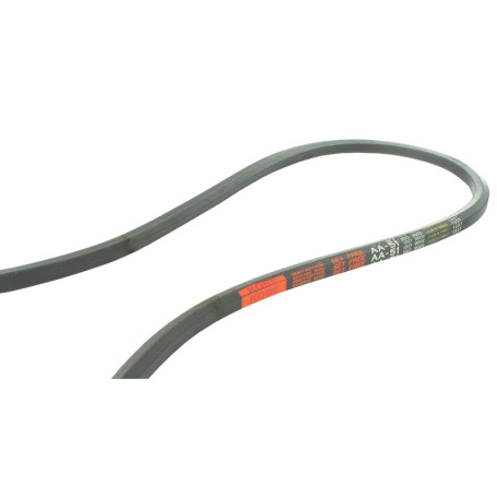 Courroie Hexagonale AA90 Greenstar - Longueur 2239 mm pour Tondeuse