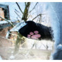 Grattoir à Glace Ed le Chat avec Gant Mignon - Accessoire Hiver Pratique