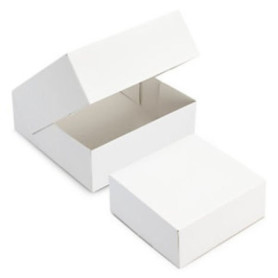 Lot de 50 Boîtes Pâtissières Carrées Blanches - 28x8 cm