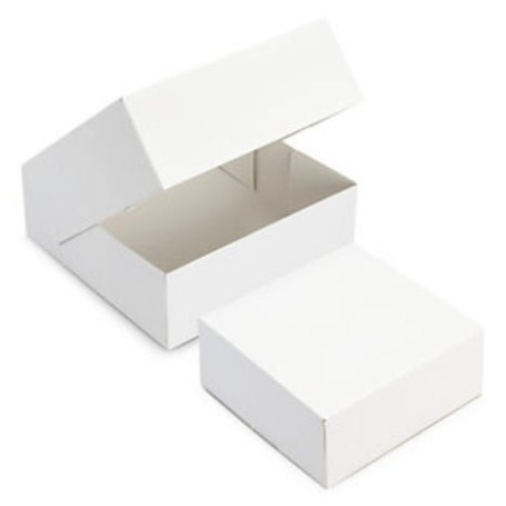 Lot de 50 Boîtes Pâtissières Carrées Blanches - 28x8 cm