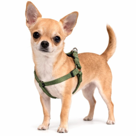Harnais Chien Ziggi Kaki XS - Confort et Sécurité