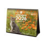 Calendrier de Bureau 2026 avec Images de Chatons - Finocam