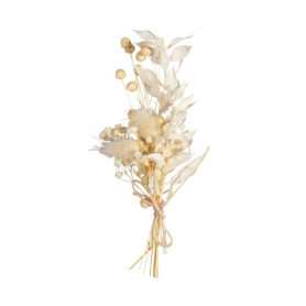 Bouquet de Fleurs Séchées Naturelles Ivoire - 18-20 cm pour Décoration
