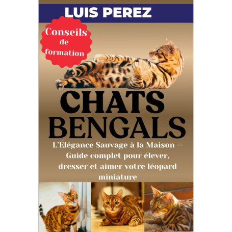 Guide Complet sur les Chats Bengals : Élever et Aimer Votre Léopard Miniature