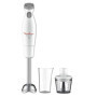 Moulinex Easychef Mixeur Plongeant 2 en 1 avec Accessoires Pratiques