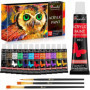 Kit de Peinture Acrylique Drawlish - 12 Tubes de Couleurs Vibrantes avec 3 Pinceaux