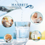 Pack de 12 Cartouches de Filtre à Eau Maxblue pour Brita et Mavea