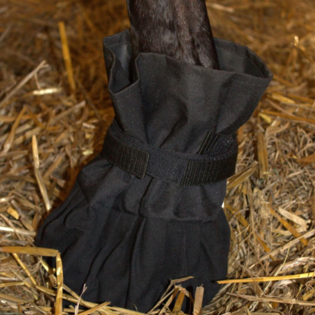 Chaussure de Protection Imperméable pour Sabots et Griffes - PFIFF