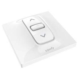 Interrupteur Filaire Somfy Inis pour Volet Roulant et Store - Commande Simple et Efficace