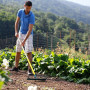 Râteau Duopro 14 Dents Courbes Leborgne - Outil de Jardinage Robuste