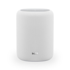 WiiM Sound Lite - Haut-Parleur Intelligent Hi-Res avec AI RoomFit™