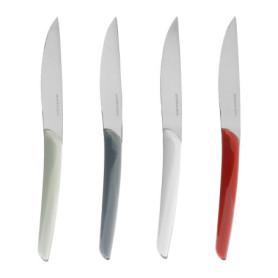 Set de 4 Couteaux à Steak en Acier Inoxydable - Collection Allure