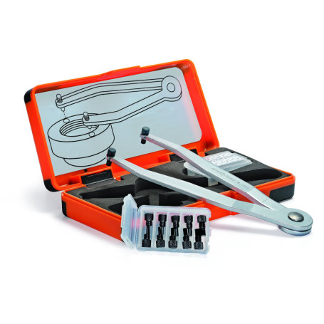 AMF Ensemble de Clés à Fourche Réglables avec Goupilles Interchangeables