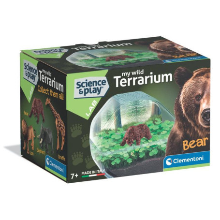 Mini Terrarium Ours - Créez Votre Monde Végétal
