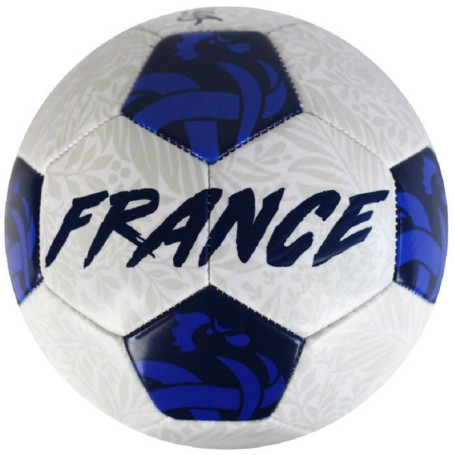 Ballon de Football FFF Vision T5 - 400g Durable