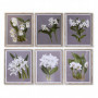 Cadre DKD Home Decor Sapin Verre Fleurs (50 x 60 x 2,8 cm) (6 Unités) 329,99 €