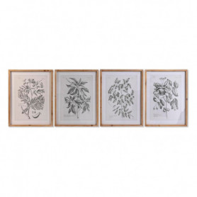 Cadre DKD Home Decor Sapin Verre Plantes botaniques (50 x 65 x 2 cm) (4 Unités) 229,99 €