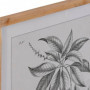 Cadre DKD Home Decor Sapin Verre Plantes botaniques (50 x 65 x 2 cm) (4 Unités) 229,99 €
