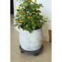 Support de pot roulant anthracite - NATURE - 30 cm