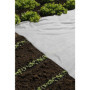 Voile de Forçage Blanc 17g/m² - 2x5m NATURE