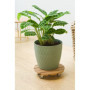 Support de Pot Roulant en Bois Naturel - 38 cm avec Freins