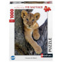 Puzzle 1000 pièces Lionceau du désert - Collection Vie sauvage