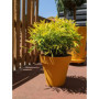 Pot de Fleurs Rond Jaune SOLEILLA - RIVIERA - D59 x H54 cm