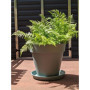 Pot de Fleurs Rond RIVIERA SOLEILLA en Plastique Recyclable - Vert Argile
