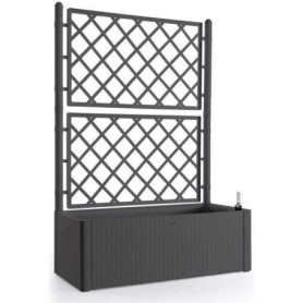 Bac à Fleurs Natural Deluxe avec Treillis - Anthracite 100x43x142 cm