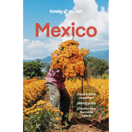 Mexico 19ed -anglais-