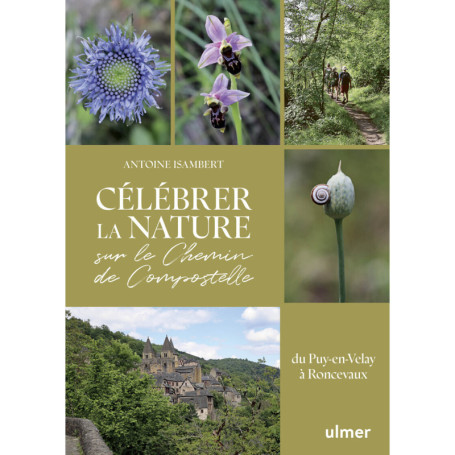 Célébrer la nature sur le Chemin de Compostelle - Du Puy-en-Velay à Roncevaux